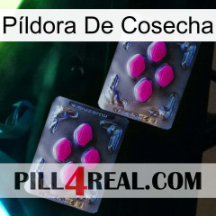 Píldora De Cosecha 01